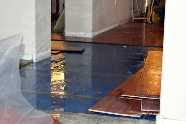 Professional Burst Pipe Cleanup technician working in Lincoln, MA